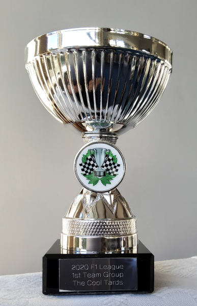 2020 team group winner, The Cool Tards, Sam Camrass 2020 team group winner, The Cool Tards, Sam Camrass